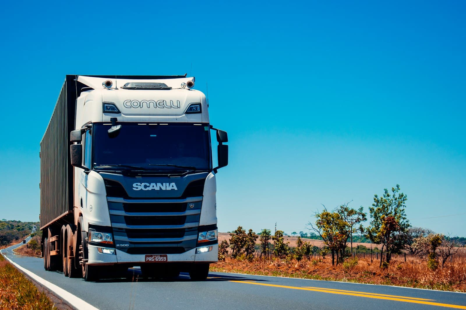 A cargo truck on a road through the savanna